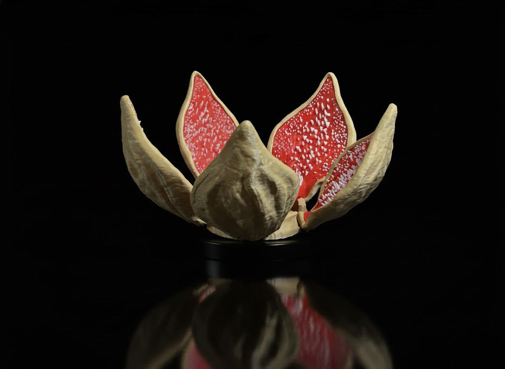 Demogorgon Trap Coaster